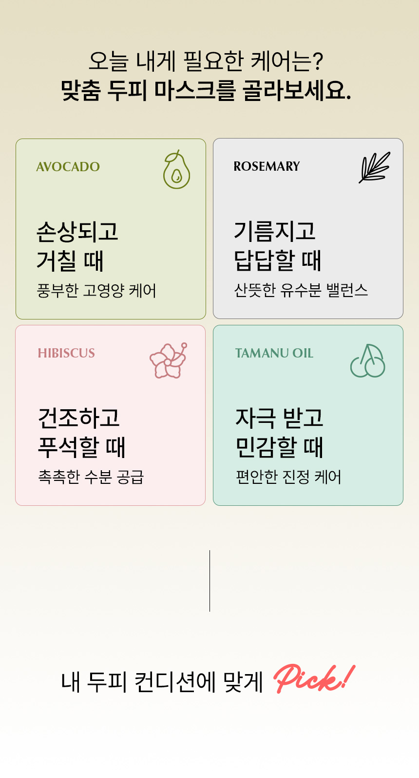 콜드브루/콜드프레스 스칼프팩 50ml 4종세트